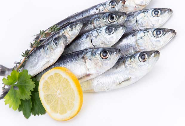 bigstock-Fresh-raw-sardines-on-white-ba-62714045