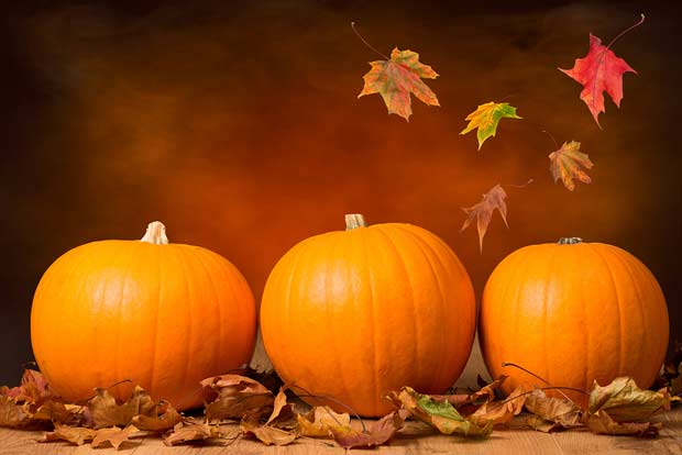 bigstock-Three-pumpkins-with-fall-leave-49194620