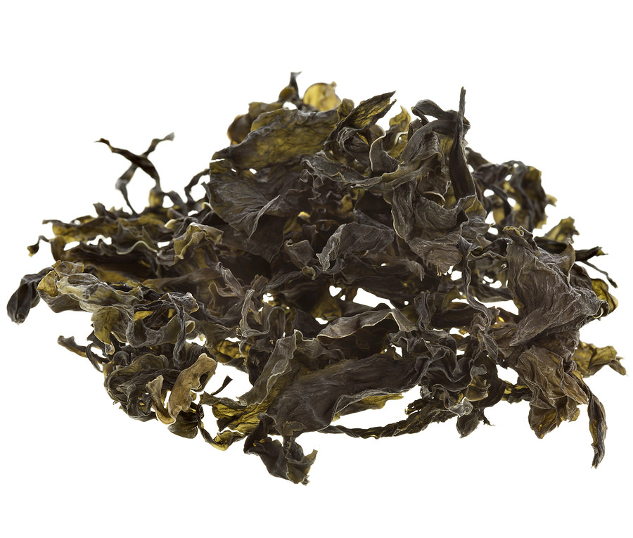 bigstock-dried-seaweed-kelp-background-22420544