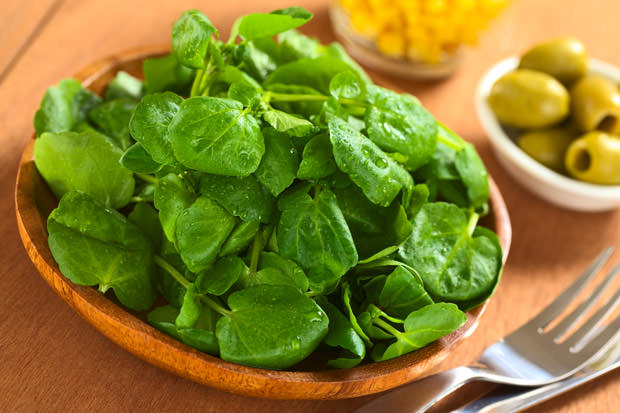 bigstock-Fresh-Watercress-35255801