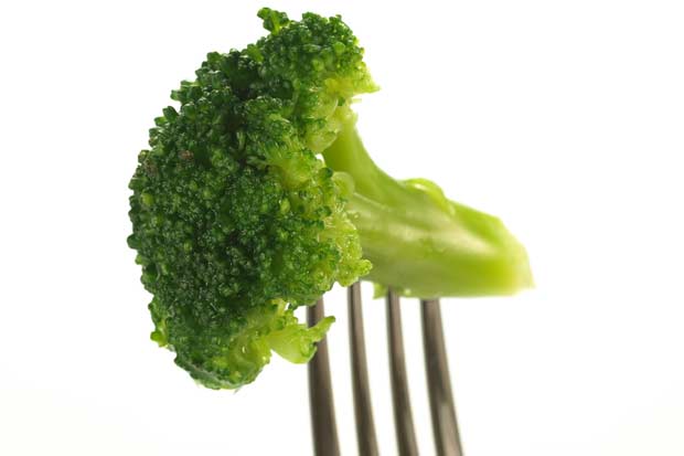 bigstock-Broccoli-Isolated-33124880