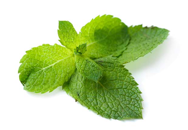 bigstock-Fresh-mint-leaves-isolated-on--48048929