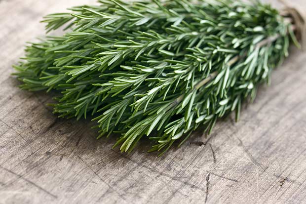 bigstock-Green-Fresh-Rosemary-Herbs-48887360