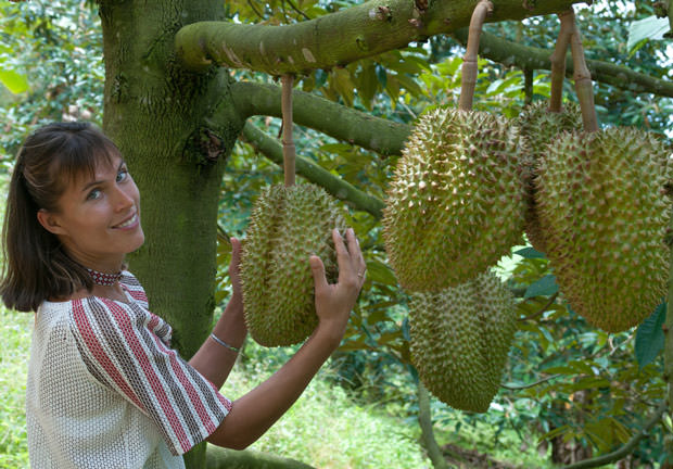 bigstock-In-The-Durian-Plantation-47775643