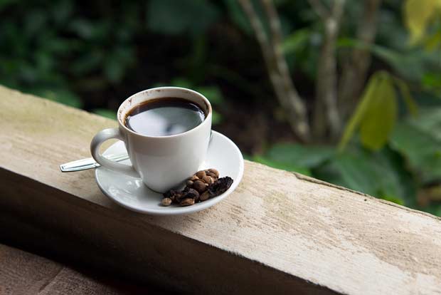 bigstock-Kopi-Luwak-46225903