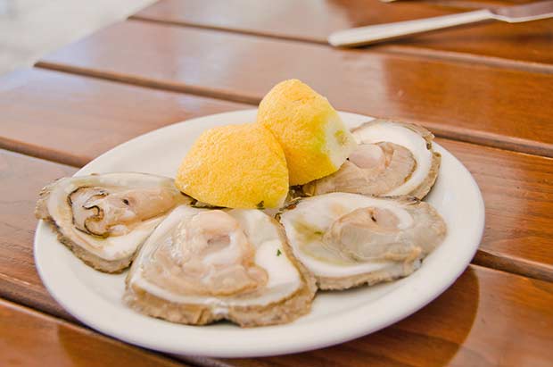 bigstock-Oysters-33680369