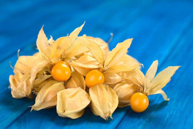 bigstock-Physalis-54654149