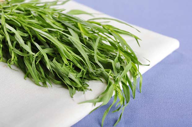 bigstock-Tarragon-Closeup-37930843