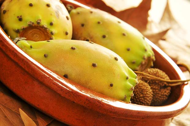 bigstock-closeup-of-some-prickly-pear-f-52694977