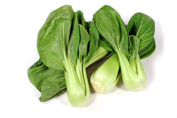 bigstock-Bok-Choy--1008361