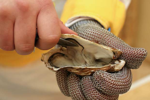 bigstock-Fresh-oyster-held-open-48987581