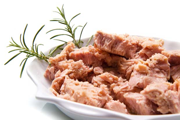 bigstock-Tuna-Fish-In-Oil-Canned-Food--50133113