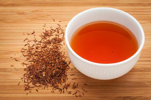 rooibos red tea